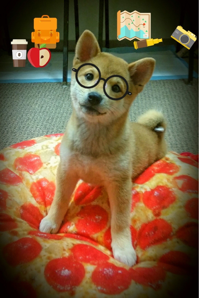 城市赛道对本地经济的推动作用，赛道的重要性