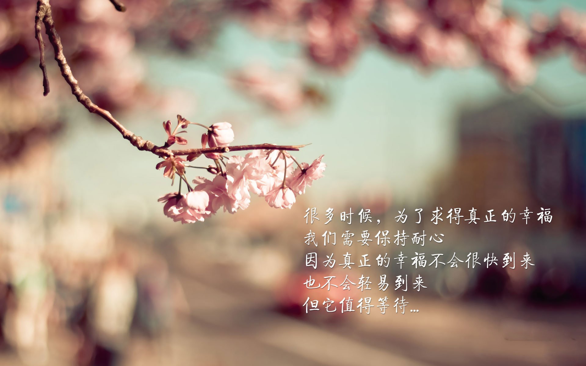 “西甲焦点战:争夺冠军的战火再次点燃”,西甲精彩